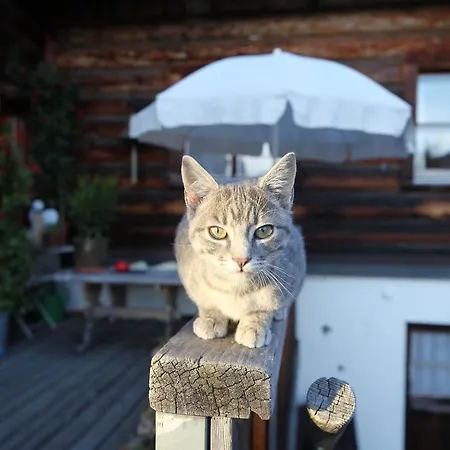 Naturfreundehaus Clavadel イン ダヴォス・プラッツ