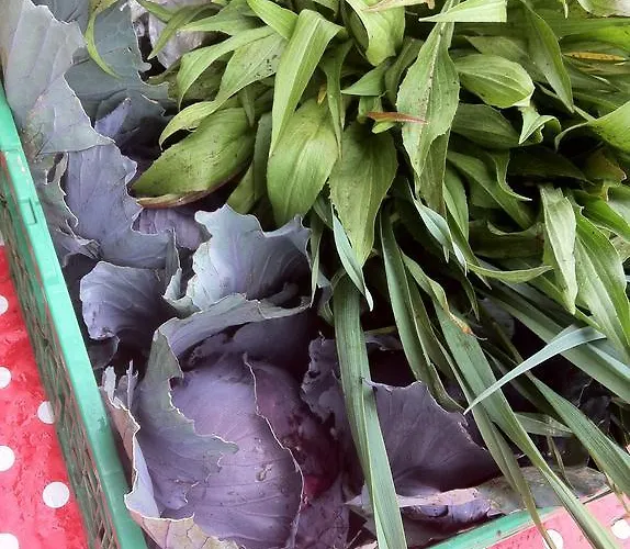 Naturfreundehaus Clavadel *