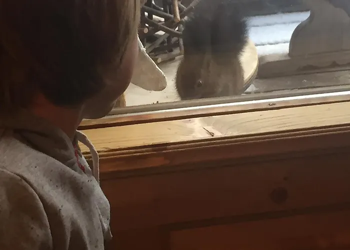 Naturfreundehaus Clavadel イン *