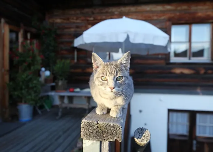 Naturfreundehaus Clavadel Gasthof Davos