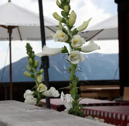 Naturfreundehaus Clavadel イン *