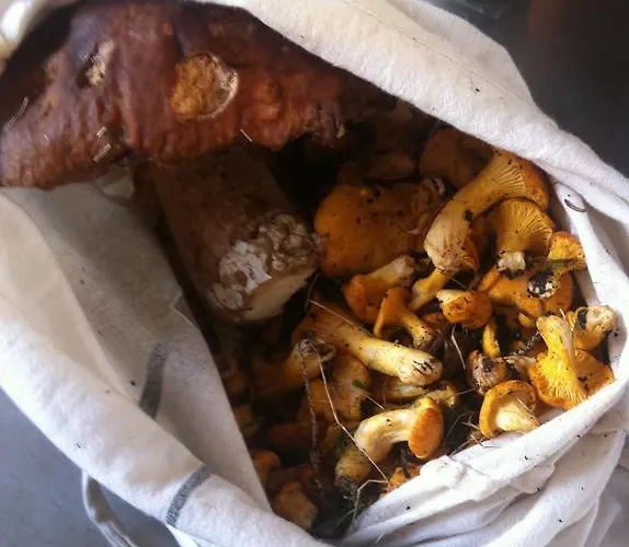 Naturfreundehaus Clavadel Gasthof Davos