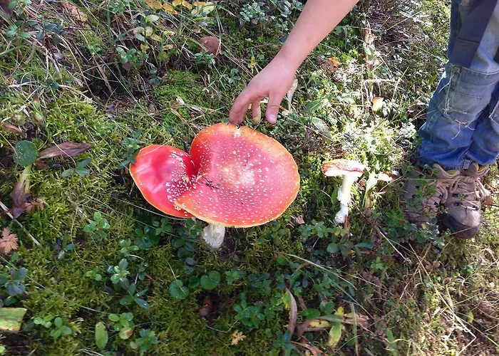 Naturfreundehaus Clavadel Estalagem Davos