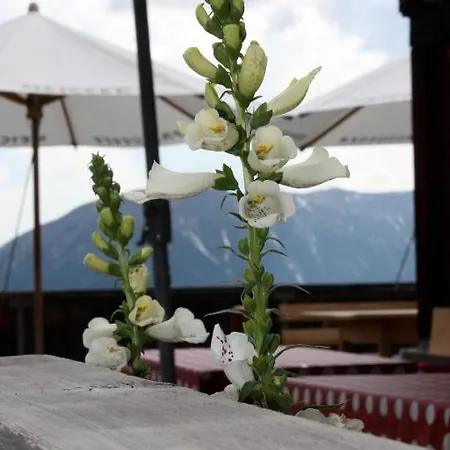 Naturfreundehaus Clavadel بيت ريفي *